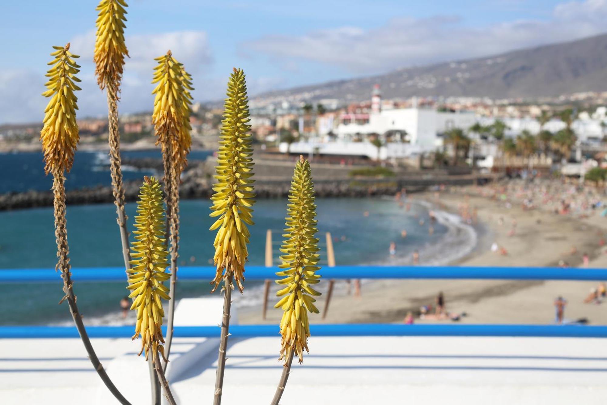 Luxury Romantic Ocean View Costa Adeje  Luaran gambar